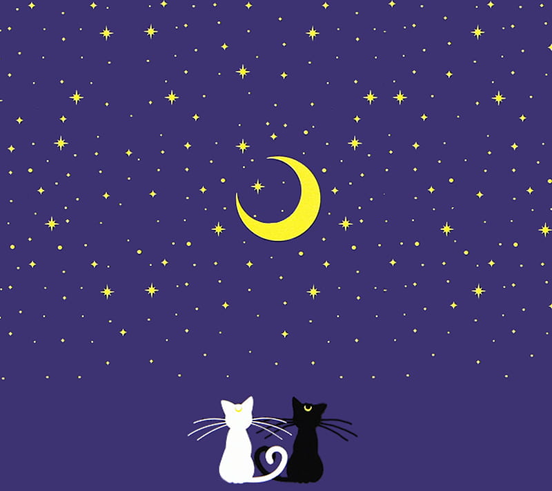 Luna and Artemis, anime, cat, moon, night, sailor moon, HD wallpaper