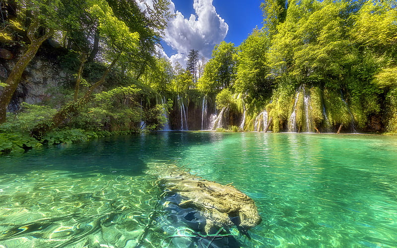 Croatia, waterfalls, summer, lake, forest, Plitvice Lakes National Park, HD wallpaper