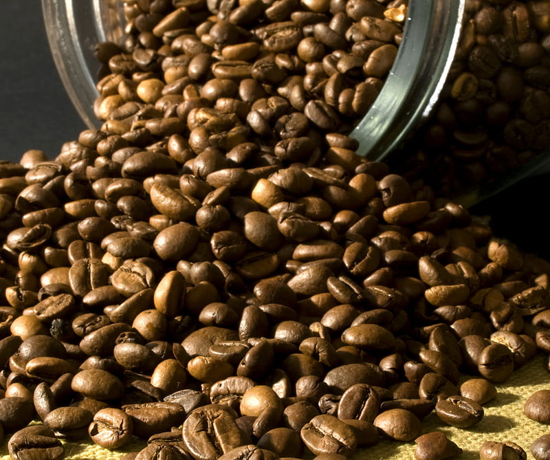 Coffe Beans, beans, coffe, HD wallpaper