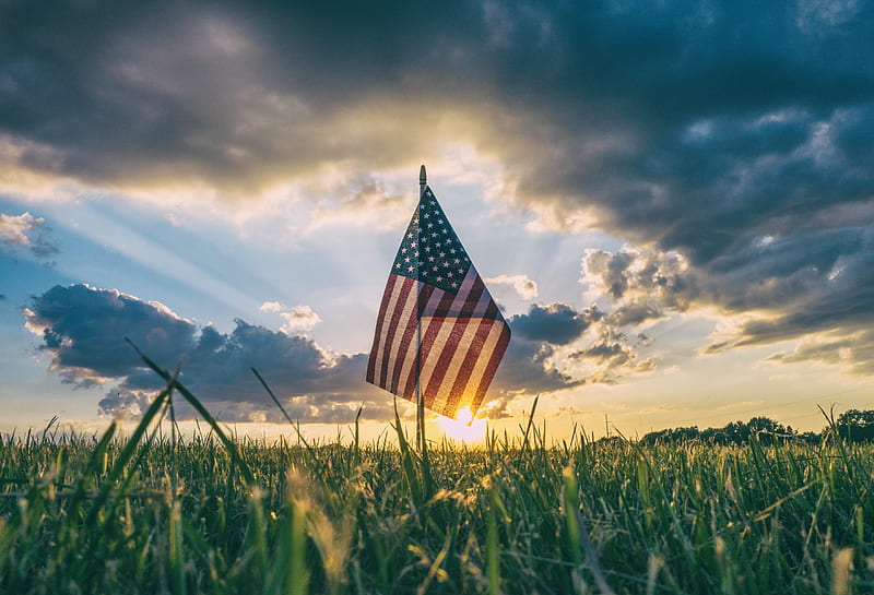 flag of USA on grass field, HD wallpaper