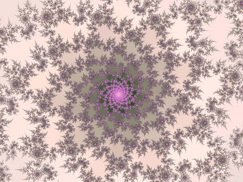 Rosette, fractals, pink, HD wallpaper