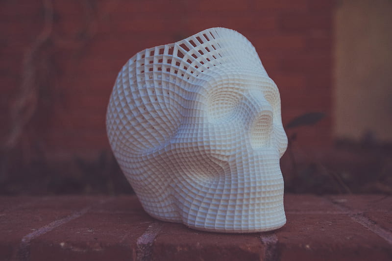 white human skull 3D artwork, HD wallpaper