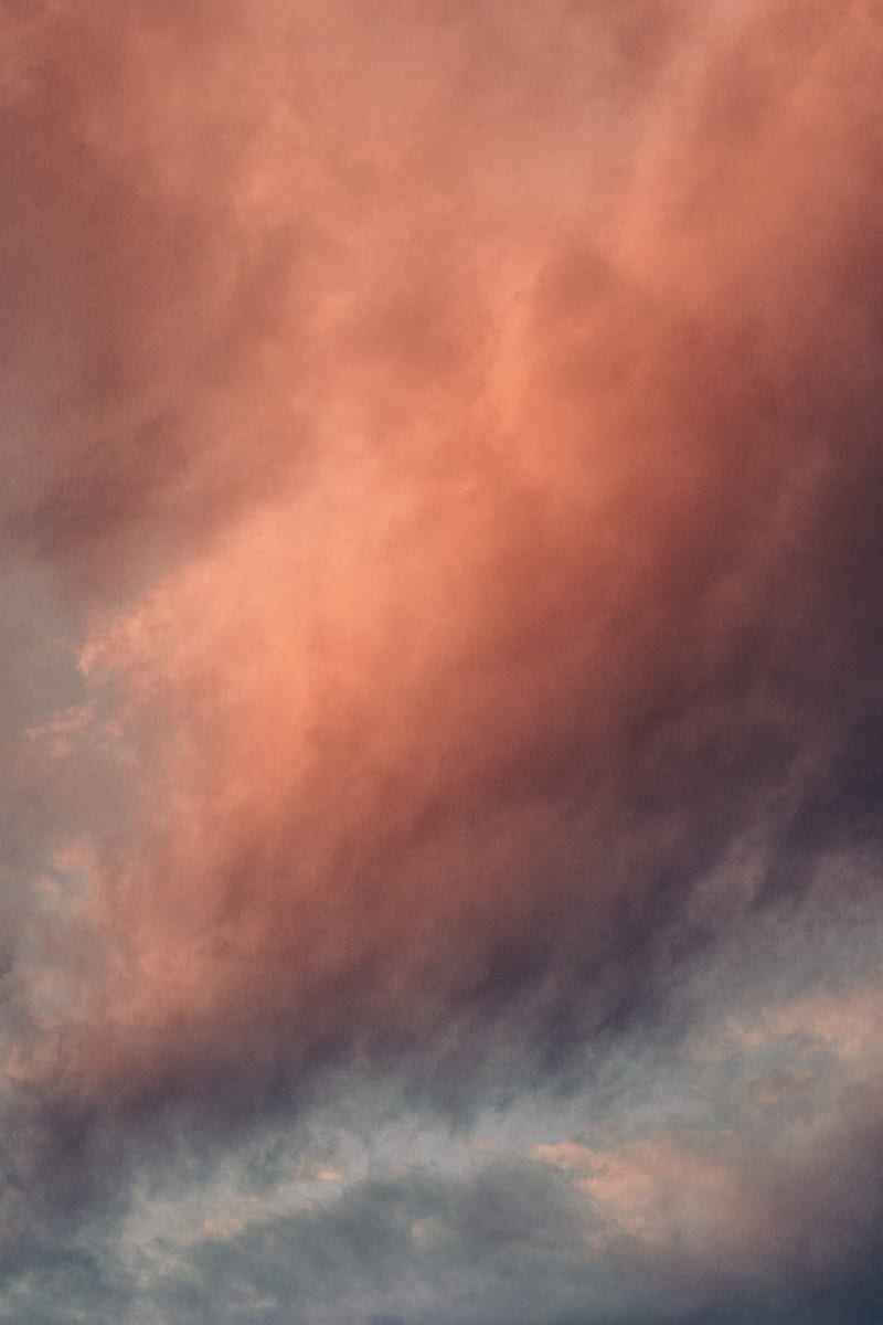 From below scenery of dramatic sky with fluffy pink and blue clouds, HD phone wallpaper