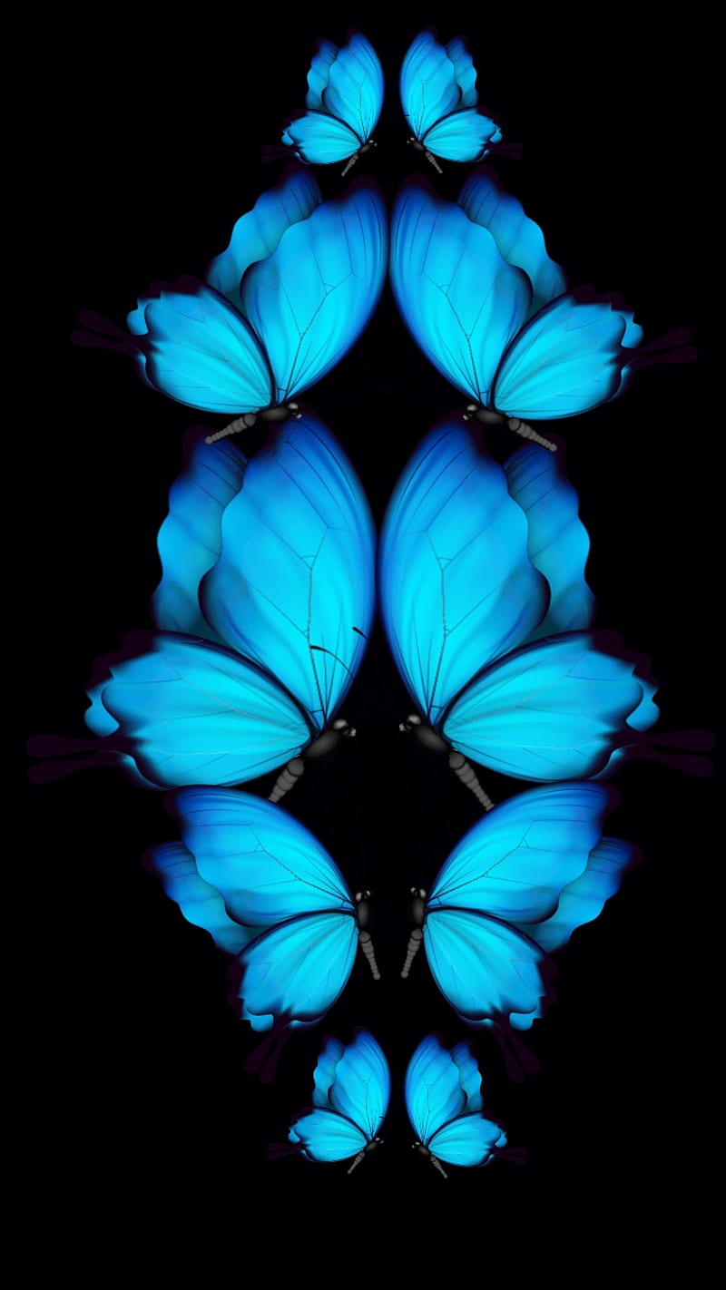 Neon Effect, background, black, blue, butterflies, color, HD phone wallpaper  | Peakpx