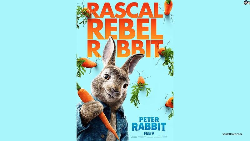 Peter Rabbit, Movie, 2018, Rabbit, Peter, HD wallpaper