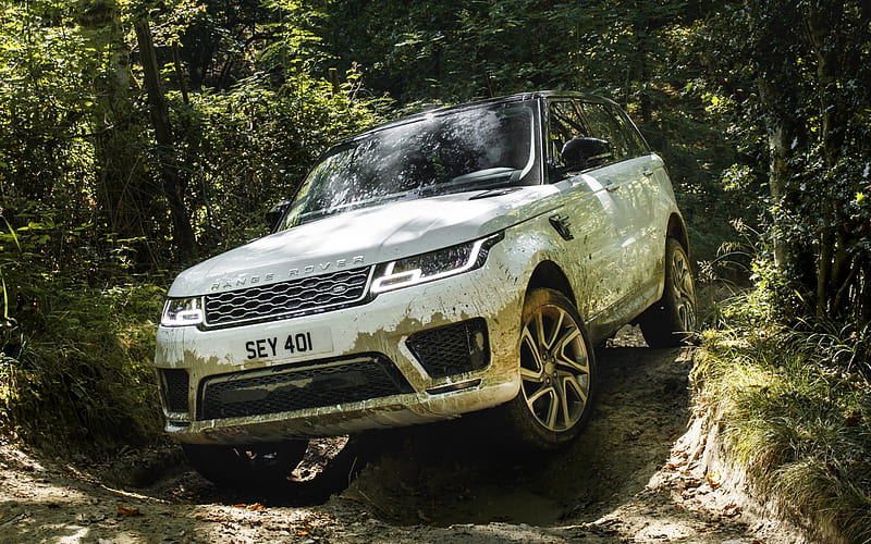 Land Rover, Range Rover Sport, P400e, Plug-in Hybrid, luxury off-road vehicle, off-road test, white Range Rover, British cars, wood, mud, HD wallpaper