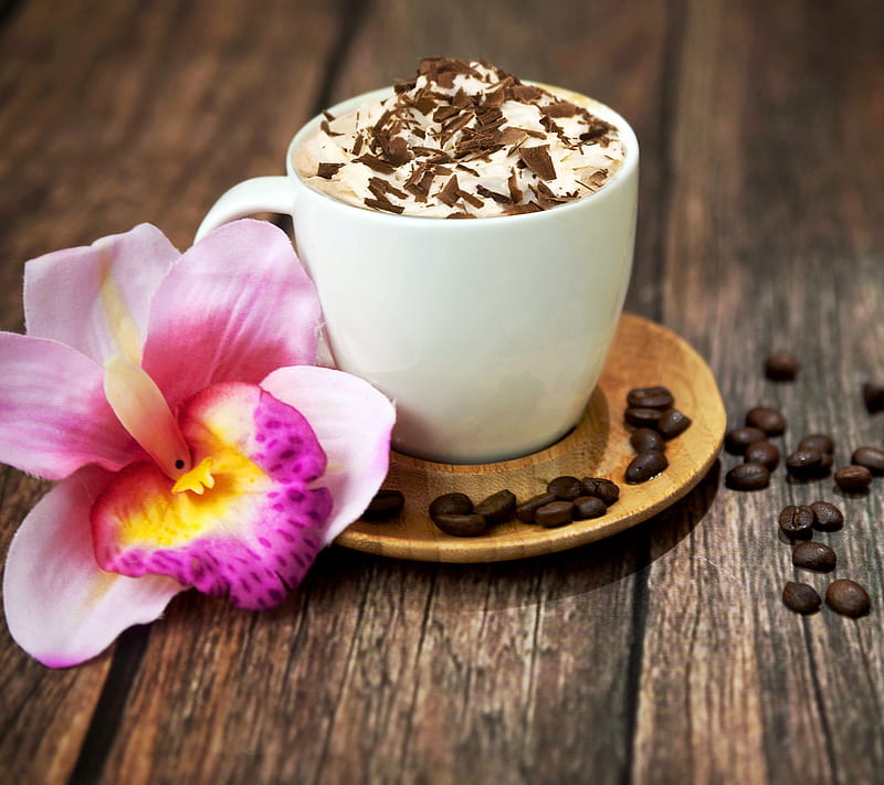 Coffee Time, beans, coffee, cup, flower, HD wallpaper
