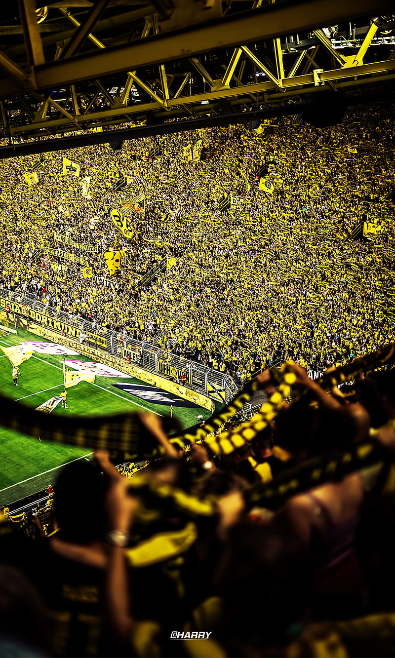Borussia Dortmund, bundesliga, german, germany, westfalenstadion, HD phone wallpaper
