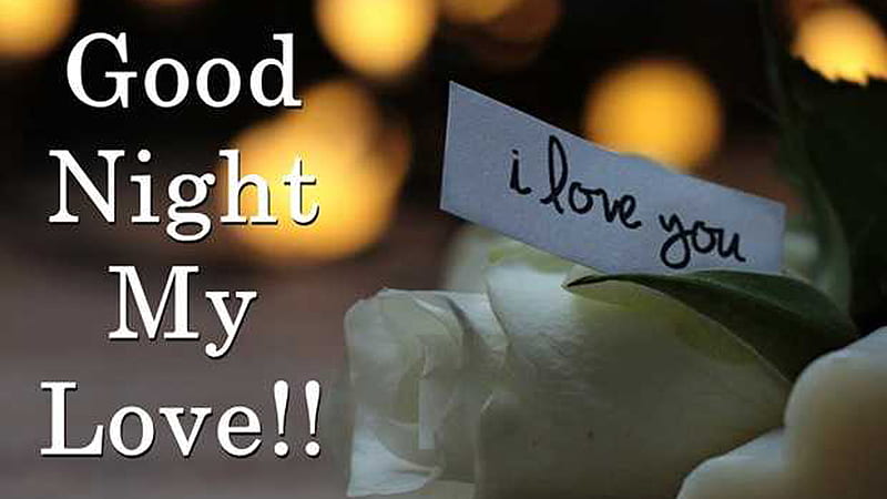 Good night my. Good Night Love. Good Night my Love. Good Night my Love картинки. Good Night, my beloved..