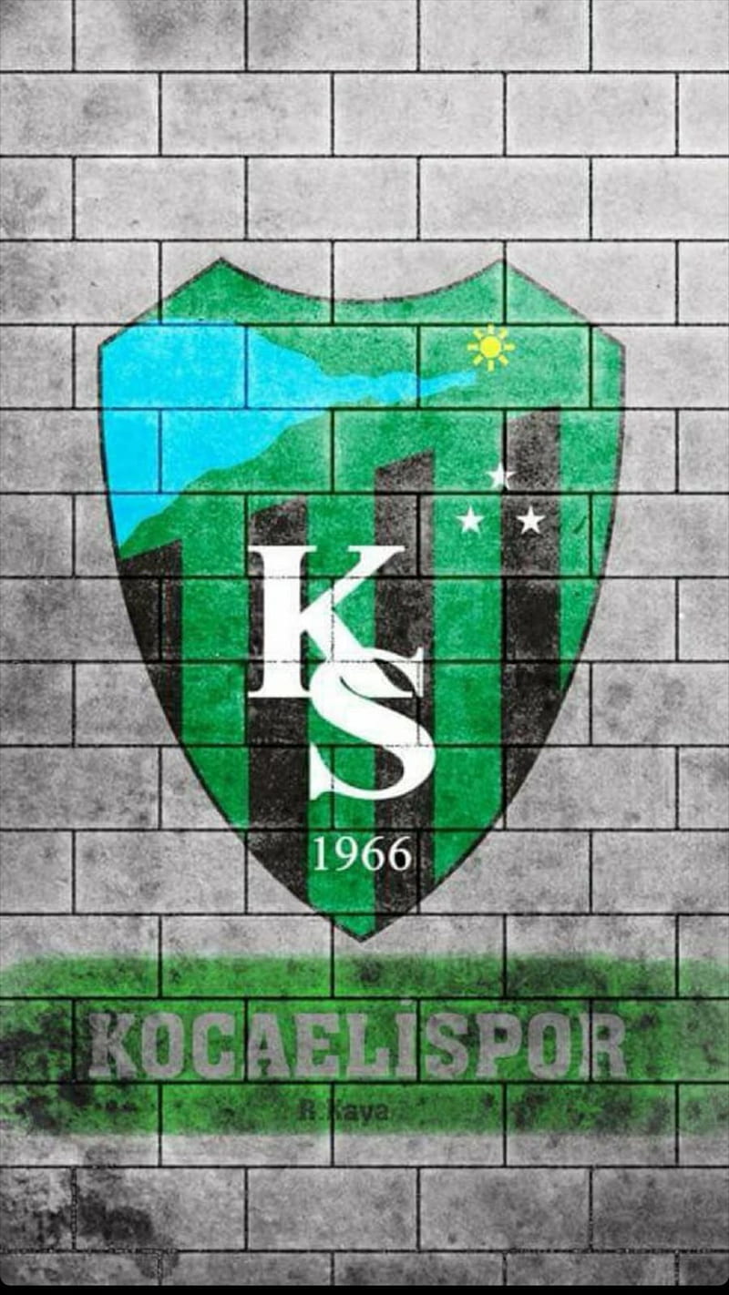 Kocaelispor, kocaeli, sampiyon, HD phone wallpaper | Peakpx