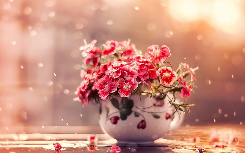Little flowers, red, orange, flower, vase, cup, carnations, HD wallpaper