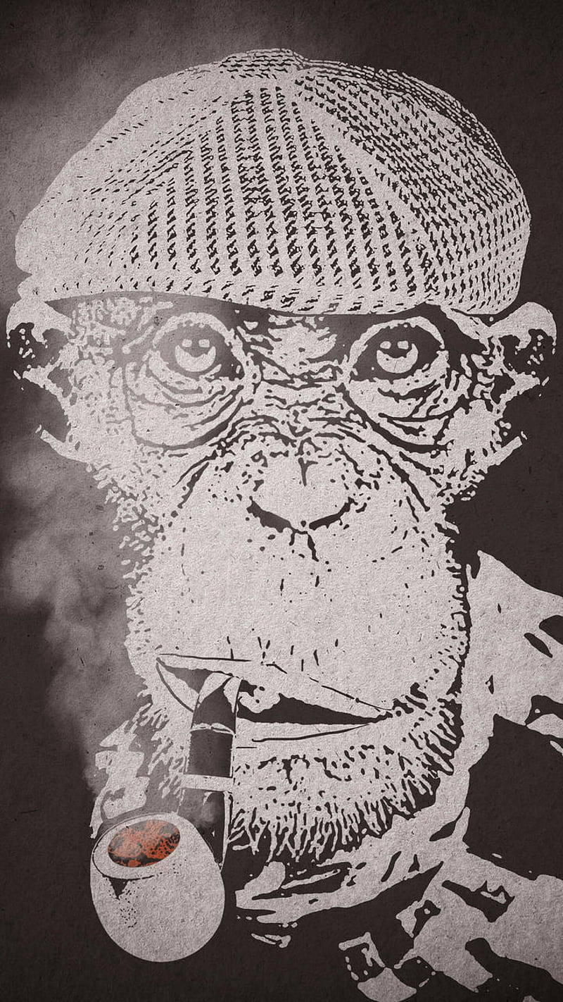 The Philosopher, monkey, HD phone wallpaper