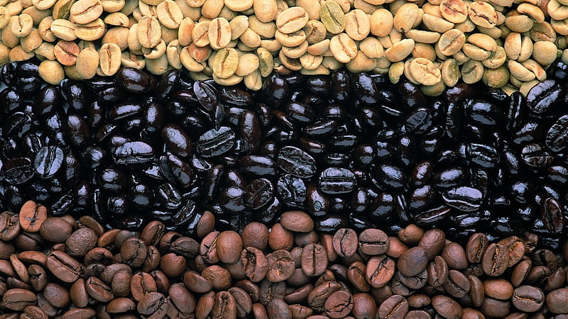 3 shades of coffee, colour, shades, coffee, beans, HD wallpaper