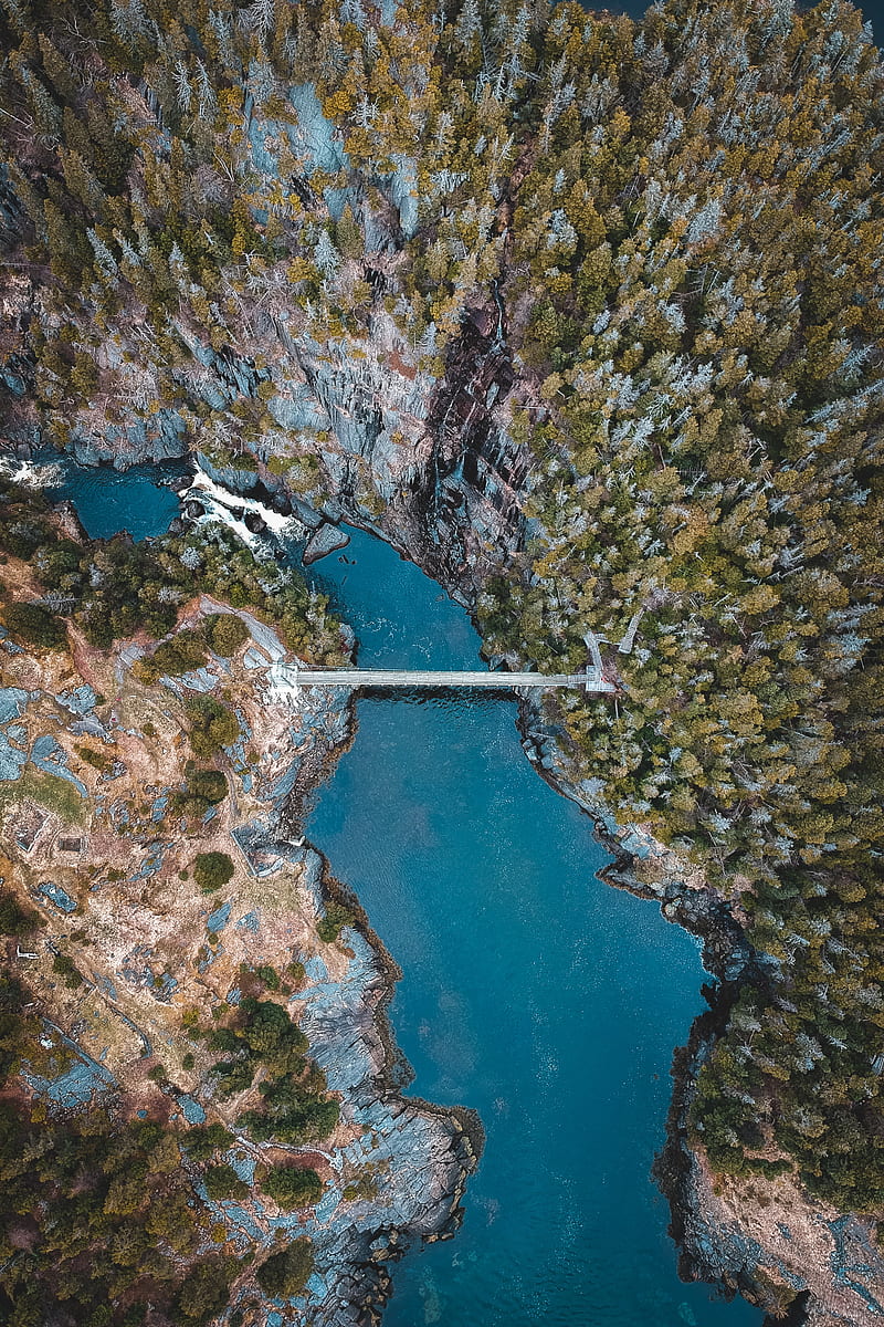 lake, forest, trees, aerial view, bridge, HD phone wallpaper