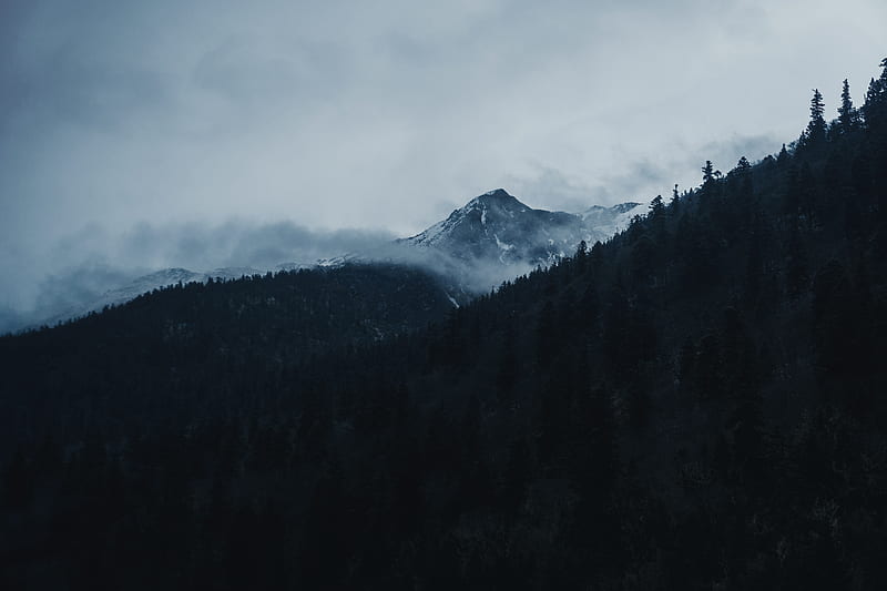 mountain, peak, clouds, trees, landscape, HD wallpaper