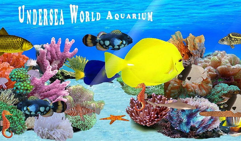 Undersea World Aquarium, beach, fish, ocean, beauty, animals, sea, natures, coral reefs, HD wallpaper