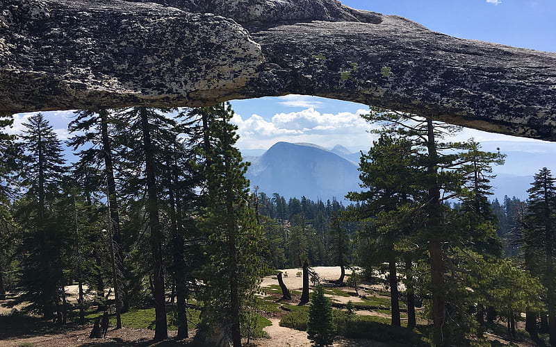 Half Dome looming under Indian Arch, the only natural arch in Yosemite, California, trees, landscape, mountains, usa, rocks, HD wallpaper