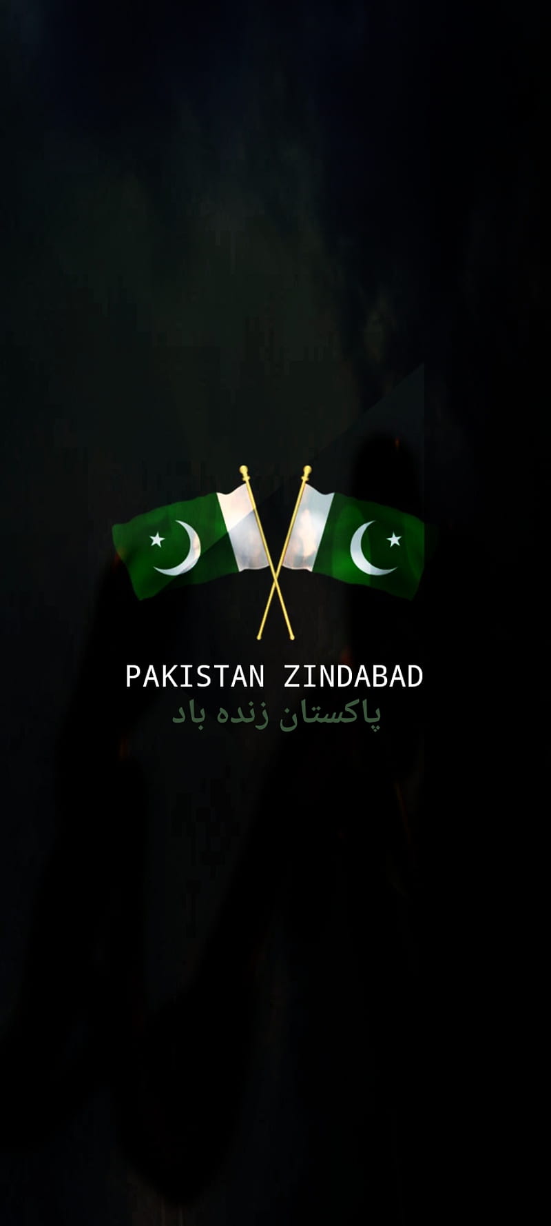 Pakistan flag, 14 agust, happy idependece day, pak army, pak army zindabad, paki, pakistan zindabad, pride, proud pakistani, HD phone wallpaper