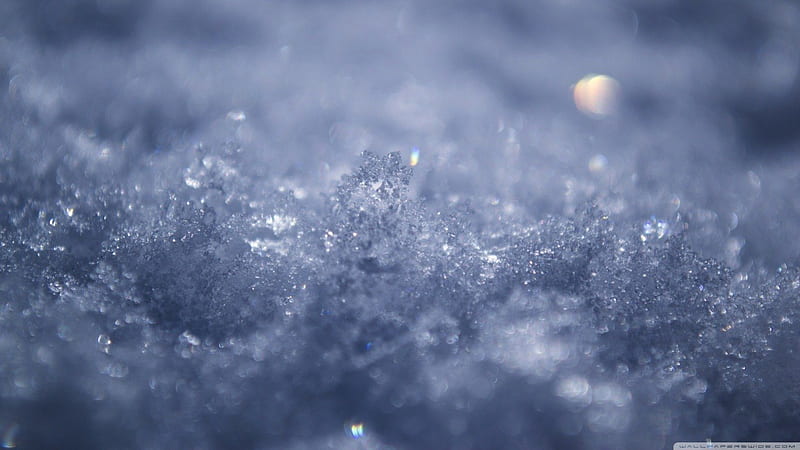 •Snow•, crystals abstract, winter, graphy, snow macro, ice, nature, HD wallpaper