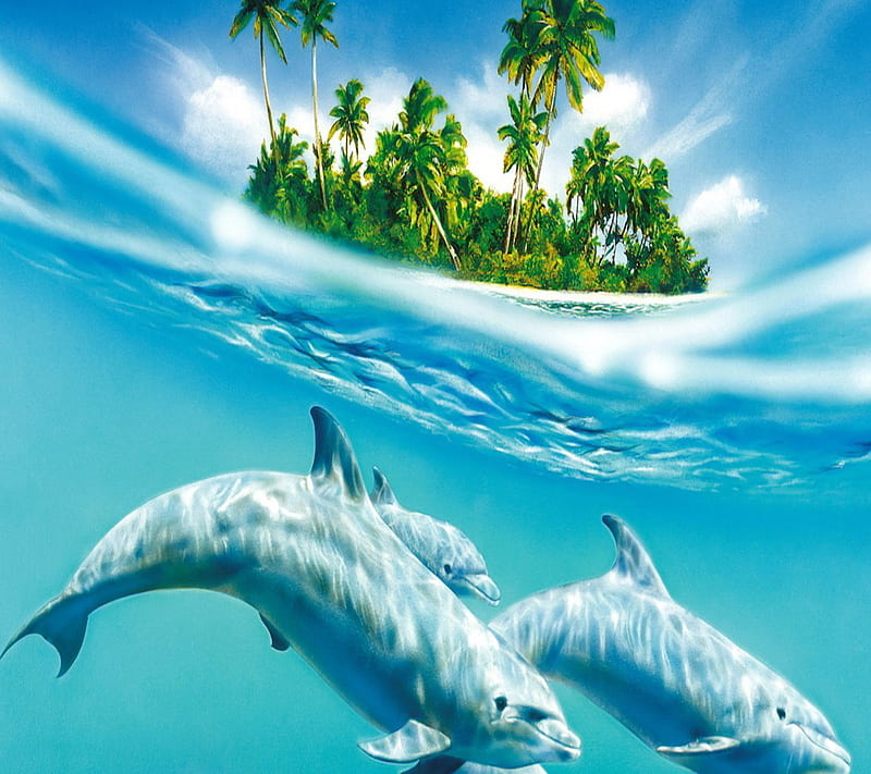 Underwater Delfine, delfine, underwater, HD wallpaper