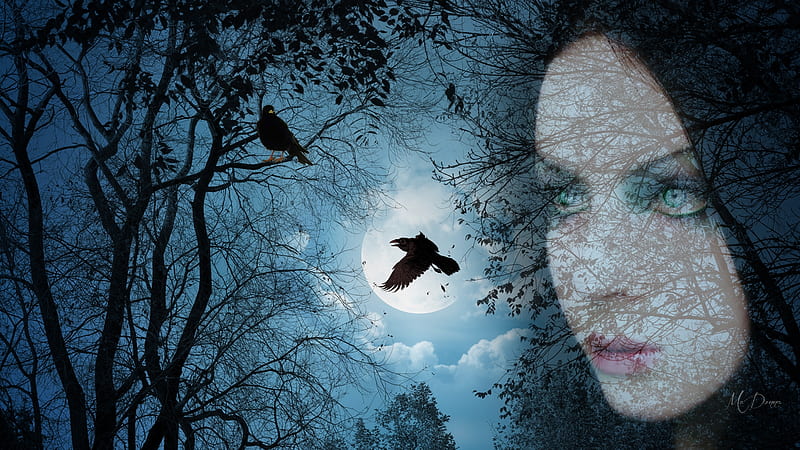 Woman with Ravens, forest, woods, woman, ravens, goth, sows, spooky, gothic, full moon, Halloween, blue eyes, Firefox Persona theme, HD wallpaper