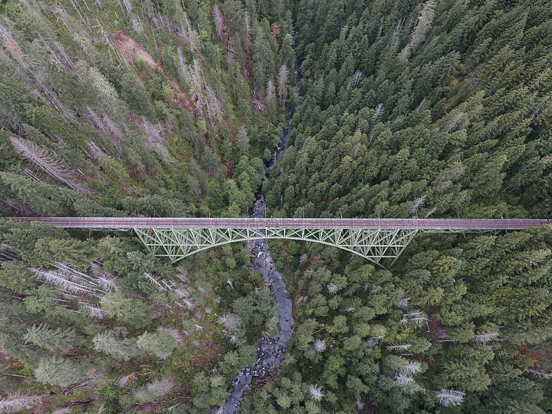aerial of brown bridge and green trees, HD wallpaper
