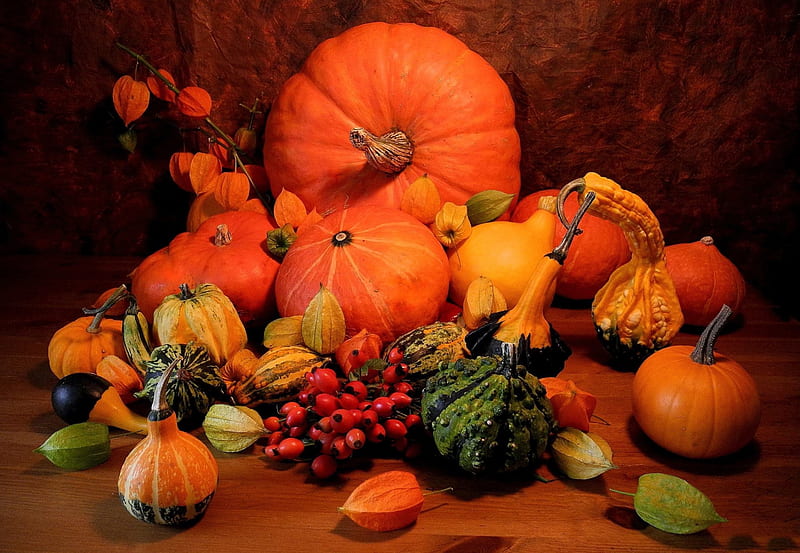 *** Pumpkins ***, autumn, harvest, nature, vegetables, pumkins, HD wallpaper
