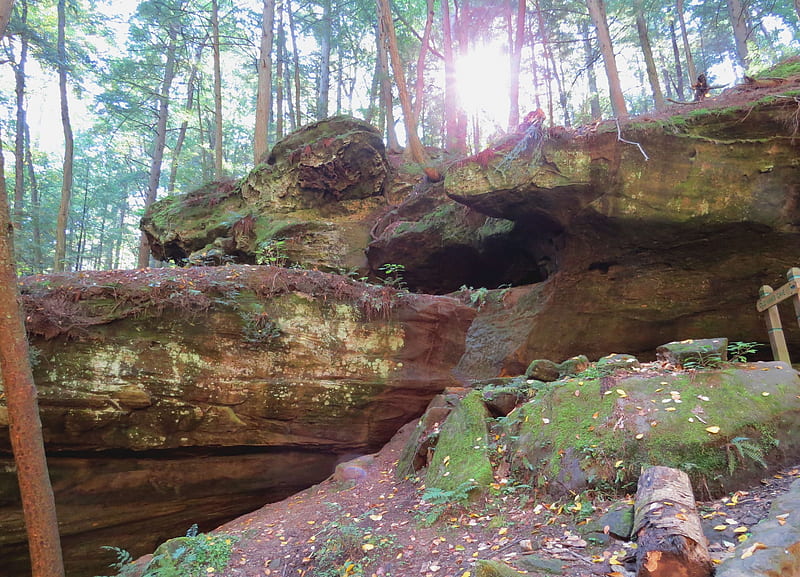 Sunny Way Out, rocks, autumn, sun, Ohio, hiking, pine, stone, trail, path, cliff, hill, forest, boulder, sky, tree, limbs, climb, nature, Hocking hills, tree trunk, HD wallpaper