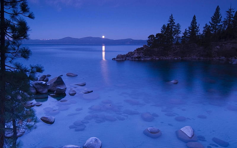 Lake Tahoe,California, cove, moonlight, nature, trees, lake, night, HD wallpaper