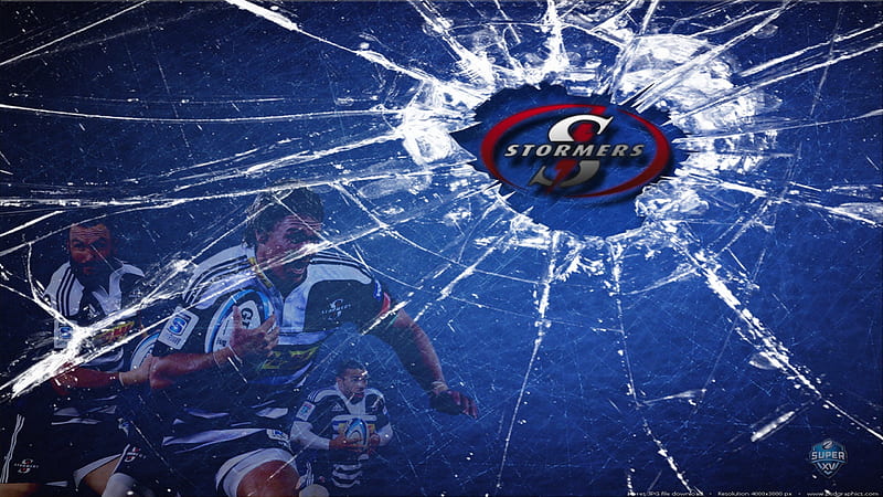 Stormers, western province, stormers rugby, wp , western province rugby, wp rugby, stormers, HD wallpaper