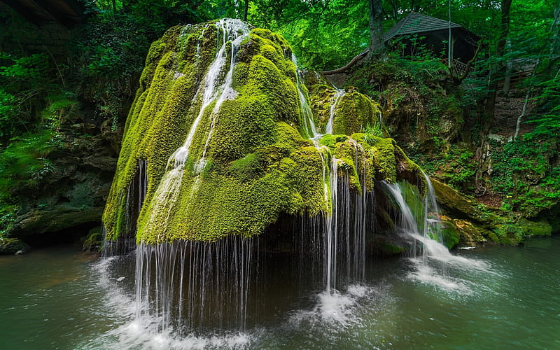 waterfall, forest, moss, stone, river, Bigar, Romania, HD wallpaper