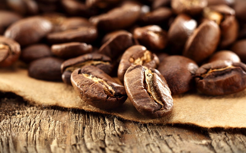 *** Coffee beans ***, coffee, food, fresh, beans, HD wallpaper