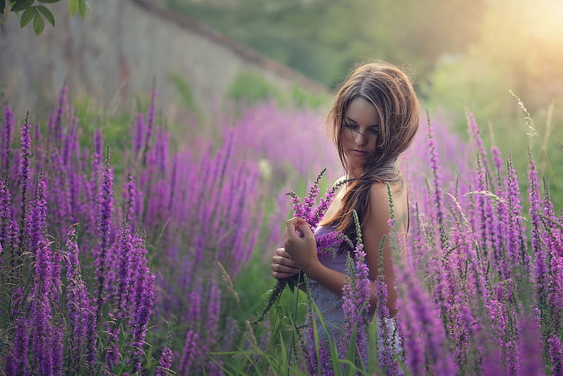 Country Woman Reflecting and Picking Flowers, Mood, Long Hair, Sad, Lavender, Woman, Memories, Reflecting, Pretty, Thinking, Sunlight, HD wallpaper