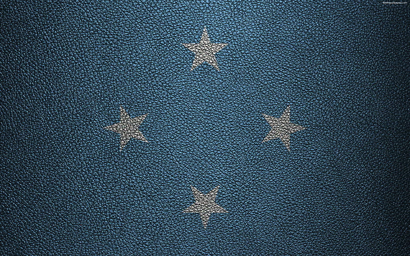 Flag of Federated States of Micronesia leather texture, Oceania, Federated States of Micronesia, world flags, HD wallpaper