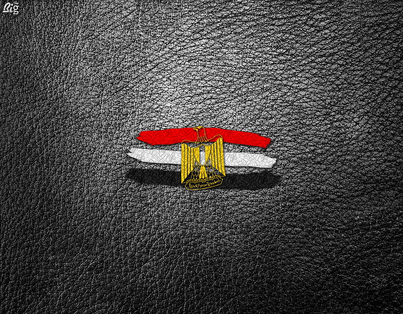 Egypt Flag, dom, revolution, flag, egypt, HD wallpaper | Peakpx