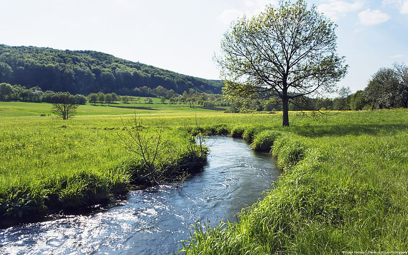 Bavaria Creek-Nature Landscape, HD wallpaper