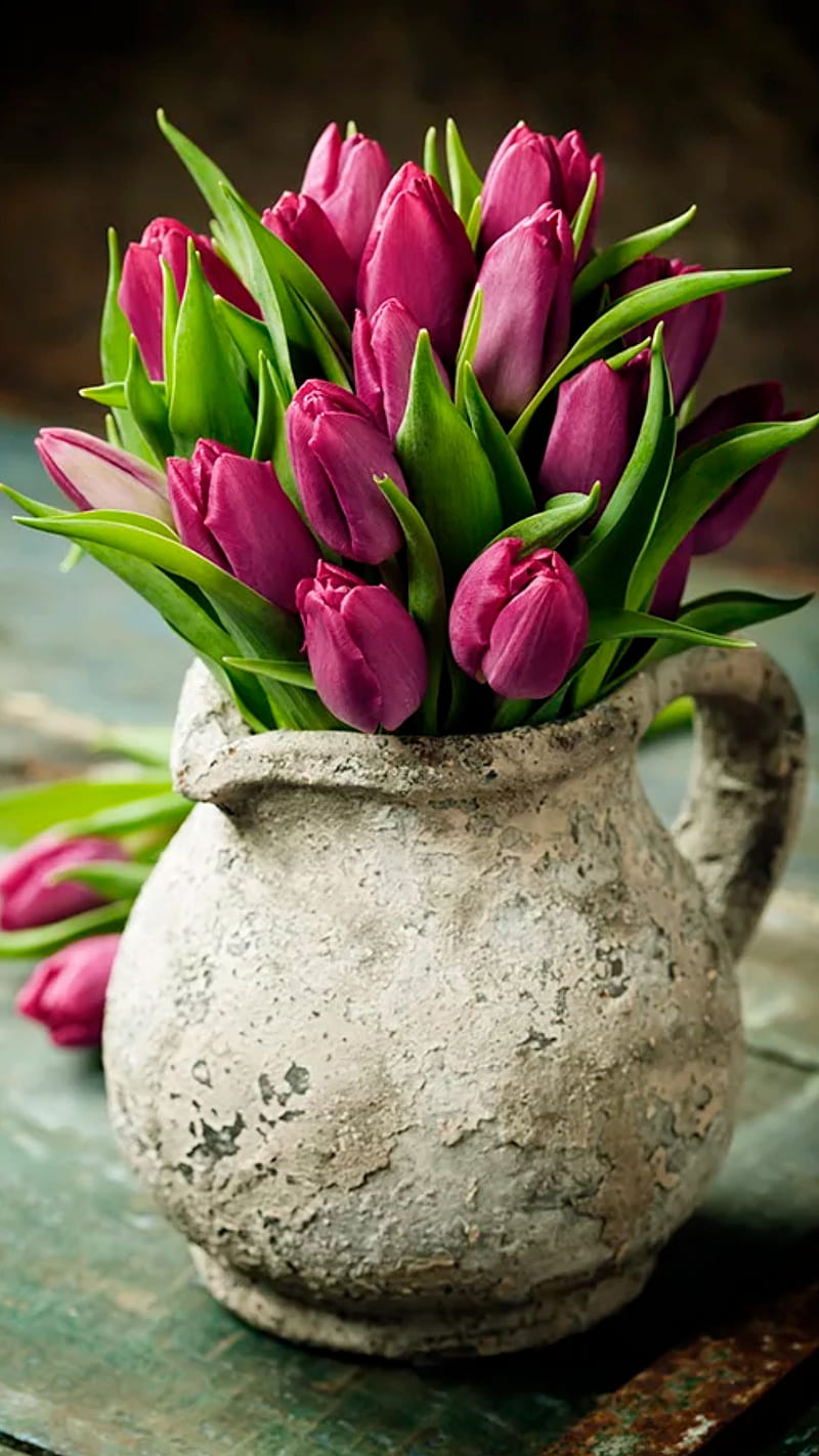 tulips, flowers, bouquet, pink, vase, nature, HD phone wallpaper