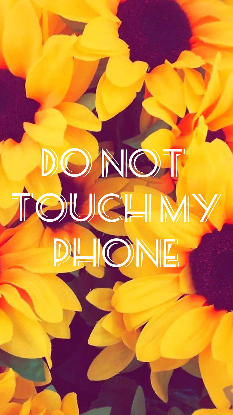 Do Not Touch, floral, girly, lock screen, sunflowers, HD phone wallpaper |  Peakpx