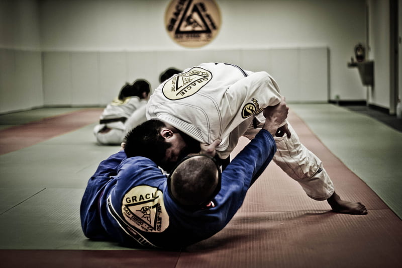 Brazilian Jiu Jitsu, gym, rolling, BJJ, practice, fight, mixed martial arts, MMA, HD wallpaper