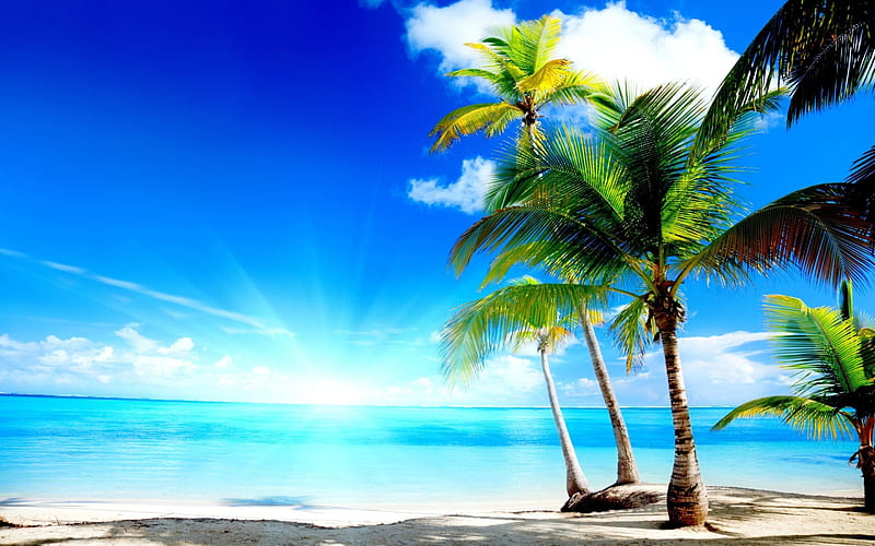 Lonesome Beach, sun, clouds, sea, palms, HD wallpaper