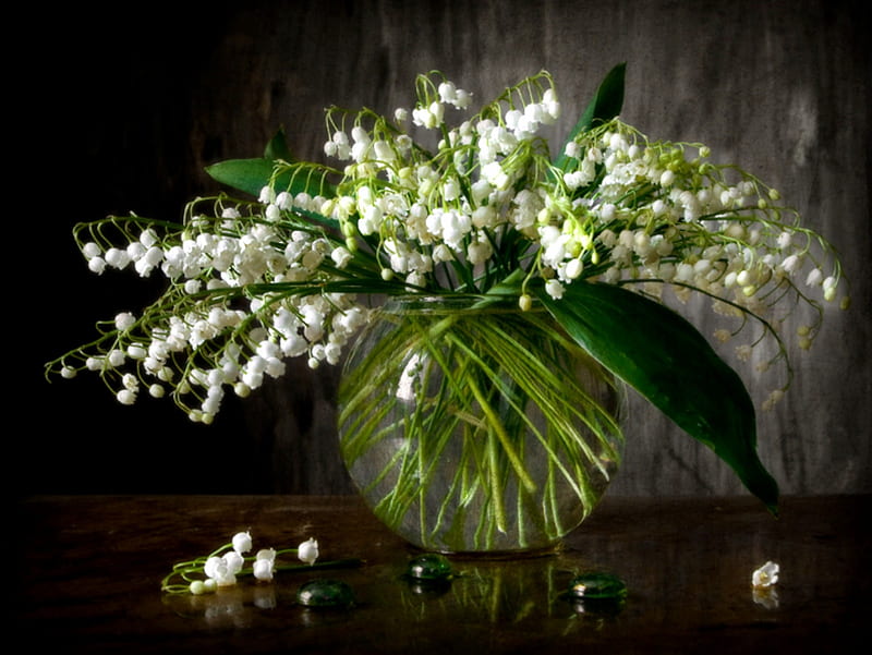 Pure Whites, still life, lilys of the valley, white flowers, flowers, green glass, HD wallpaper