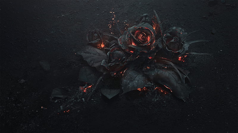 Burning Roses, burning, black, roses, goth, fire, gothic, dark, hot, Firefox Persona theme, HD wallpaper