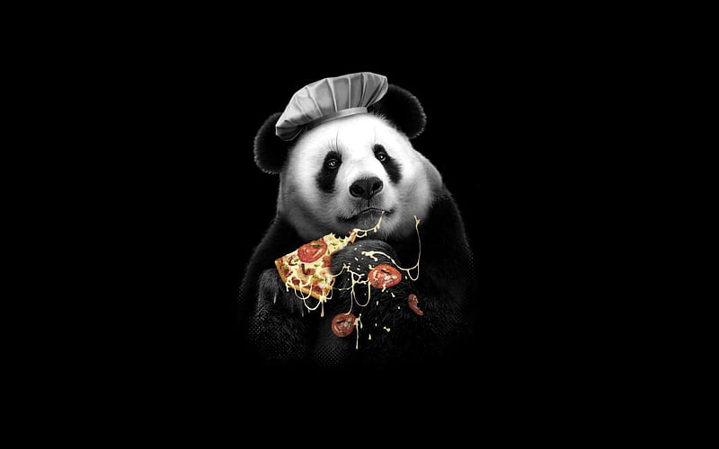 Panda, food, bear, black, creative, fantasy, pizza, funny, white, HD wallpaper