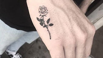 roger tattoo  tattoo tattoos girl girls tattoogirl rogertattoo  today goodmorning lunedì girlstyle rosetattoo rose  Facebook