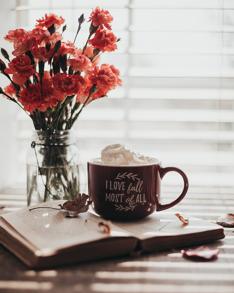 cup, inscription, words, book, flowers, HD phone wallpaper