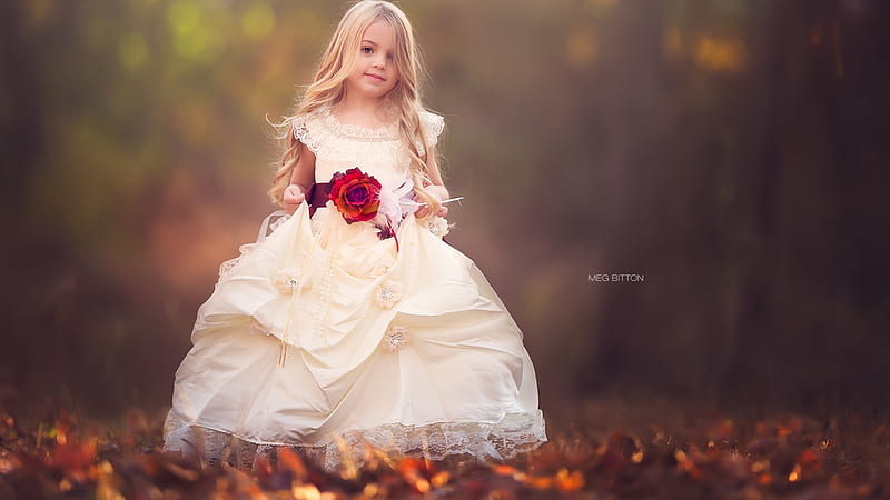 Blonde Cute Little Girl Is Standing On Dry Leaves Wearing Beautiful Gown With Flower Cute, HD wallpaper