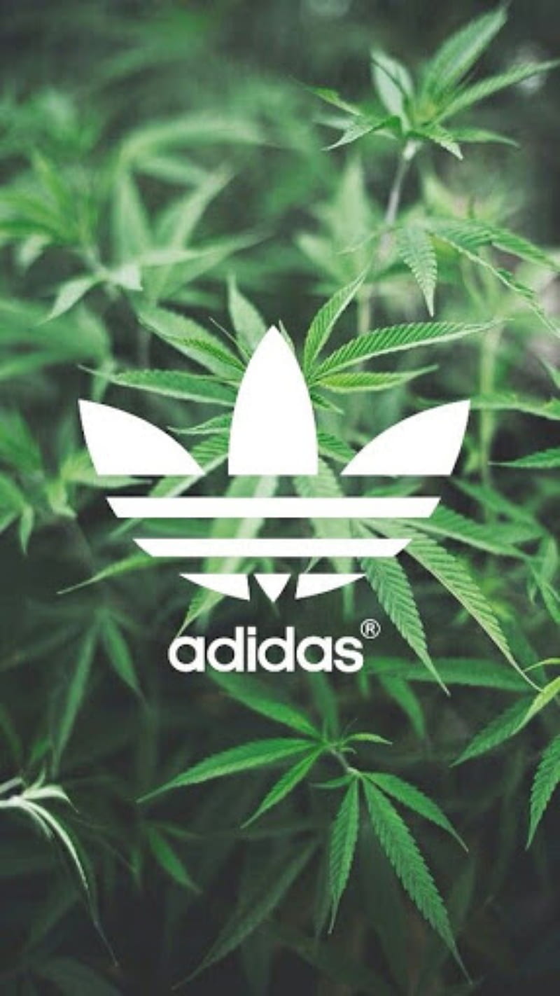 Adidas W**d, cannabis, cool, flower, marijuana, marks, HD phone wallpaper