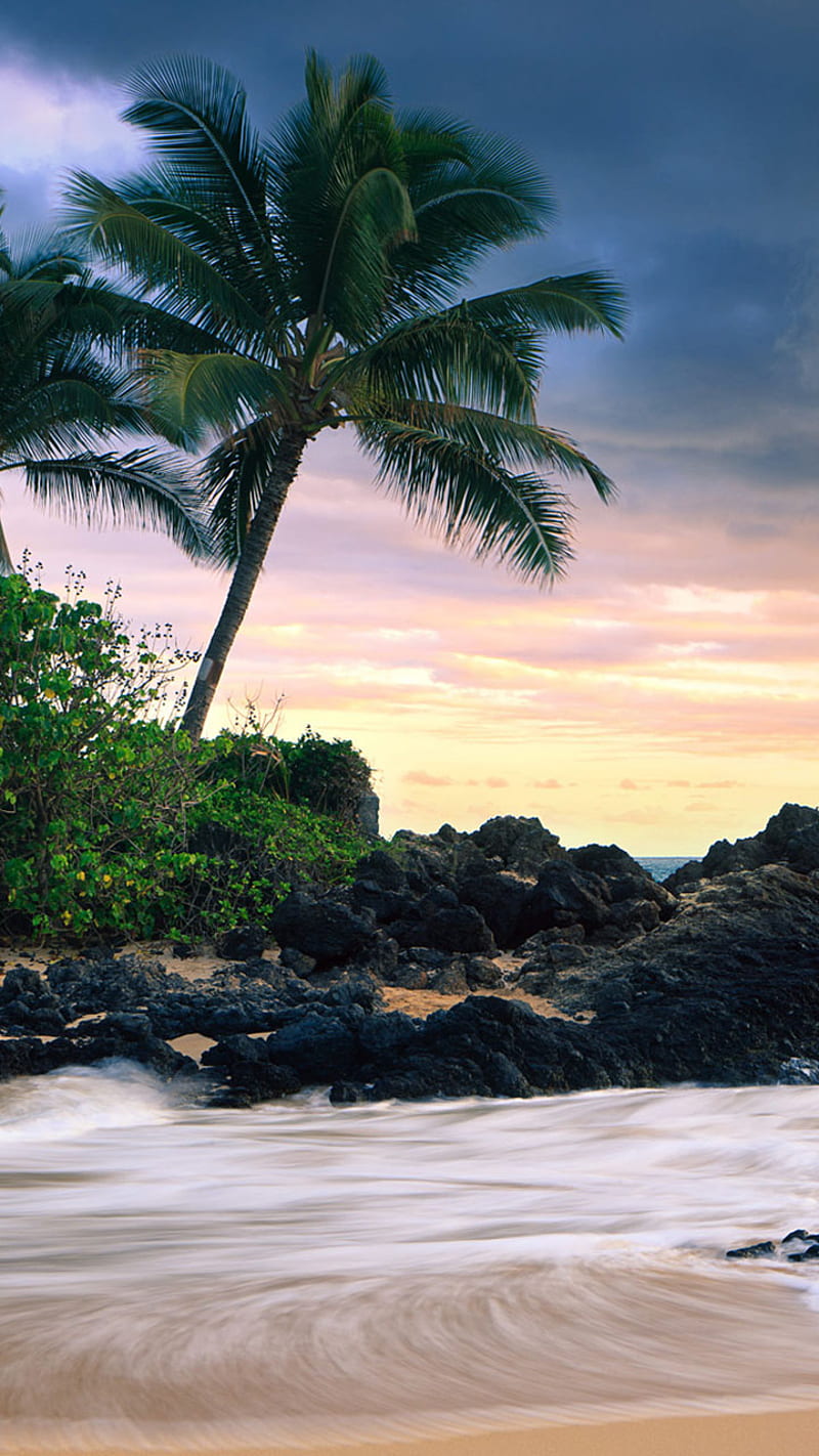 Dream Island mang đến cho bạn cảm giác bình yên và thư giãn với những hình ảnh của một hòn đảo thần tiên. Hãy truy cập các hình ảnh liên quan và đắm chìm trong không gian xanh ngát, biển cả mênh mông và không khí trong lành của Dream Island.