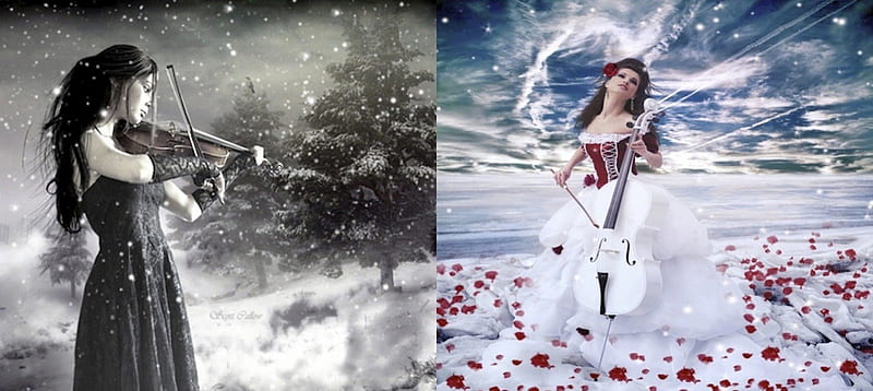 Black/White Music, violin, music, black and white, black, sky, clouds, winter, cello, snow, white, HD wallpaper