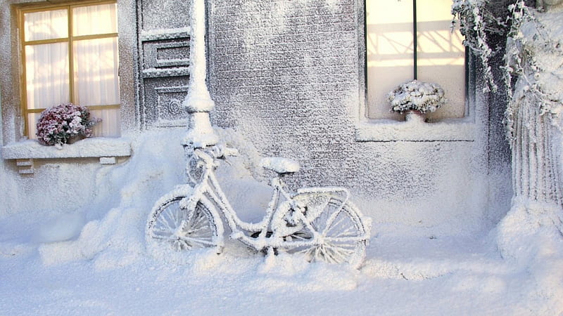 bicycle after a snow storm, bicycle, house, snow, winter, HD wallpaper